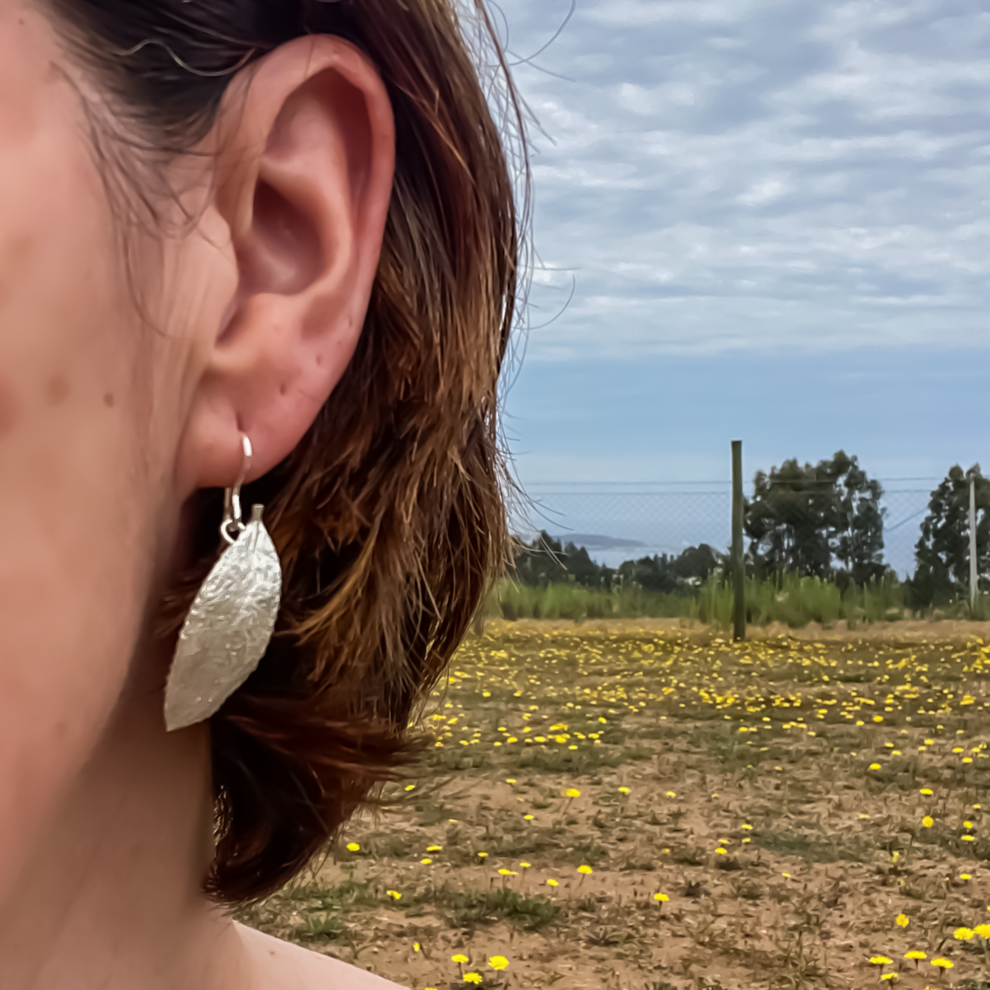 Aros Ecos del cerro
