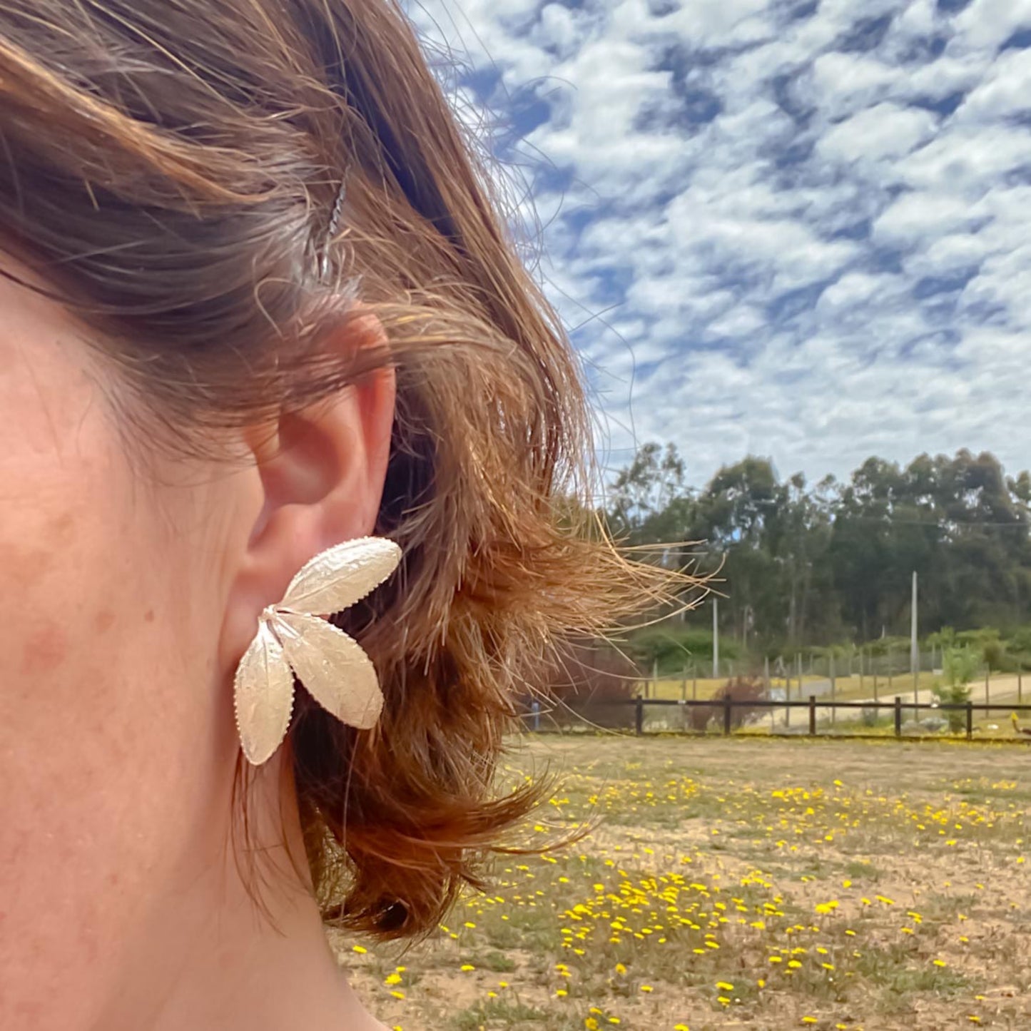 Trilogía Colliguaya