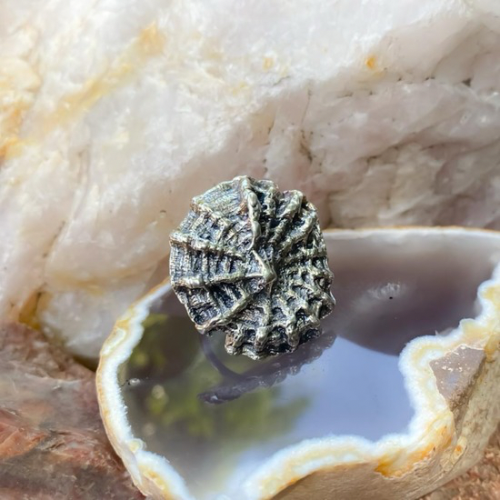 Anillo Máncora