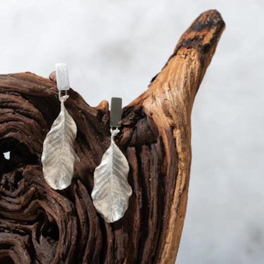 Aros Hojas de Quillay