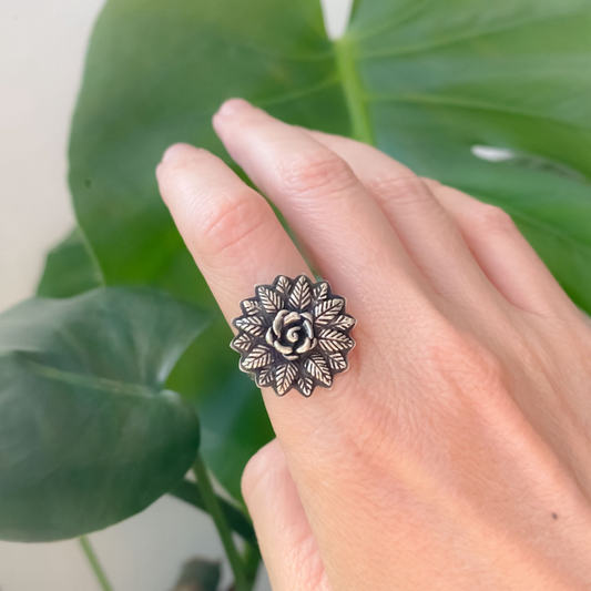Anillo Botánica