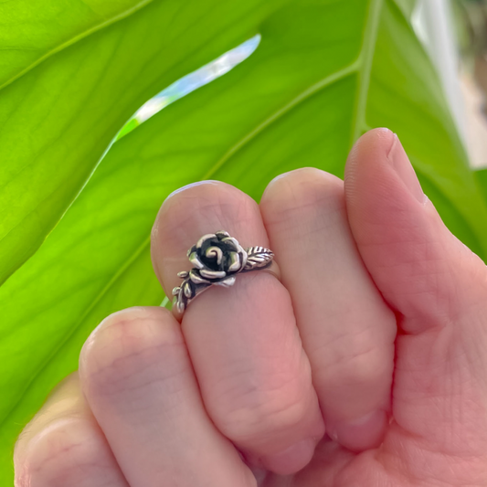 Midi Rosalinda