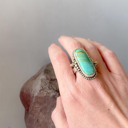 Anillo Desierto