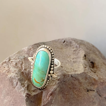 Anillo Desierto
