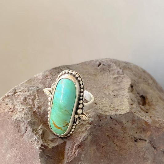 Anillo Desierto