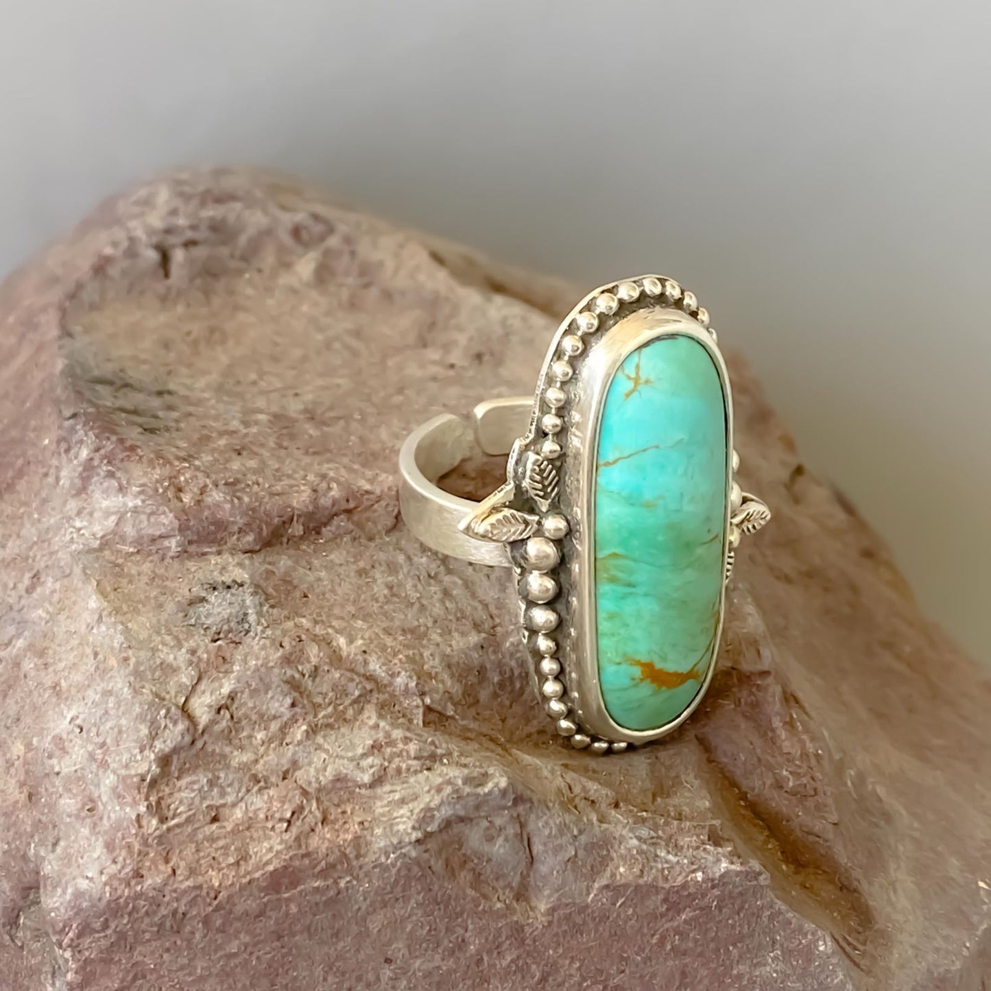 Anillo Desierto