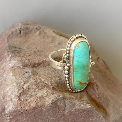 Anillo Desierto