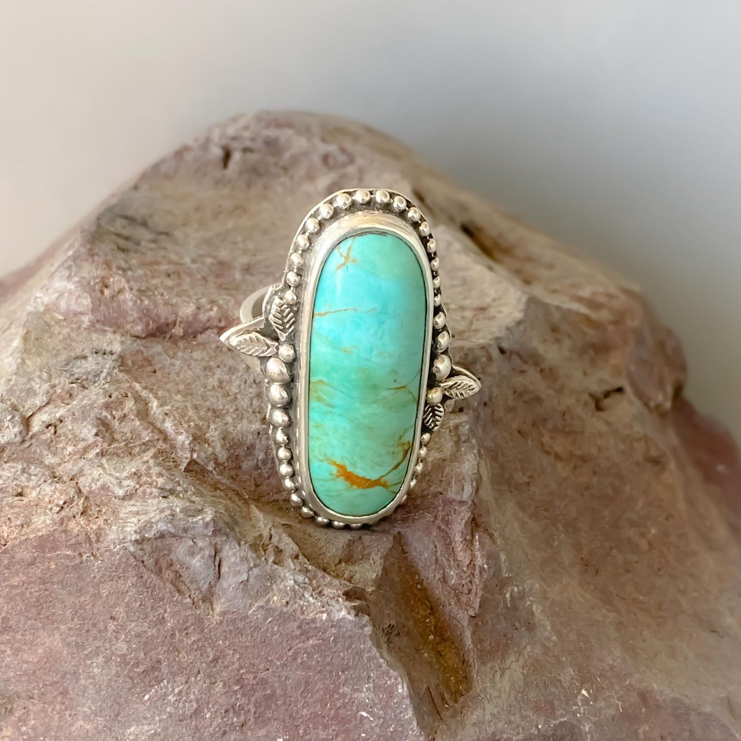 Anillo Desierto