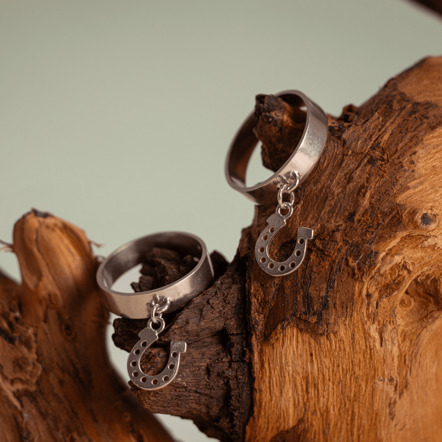 Anillo Lucky Charm