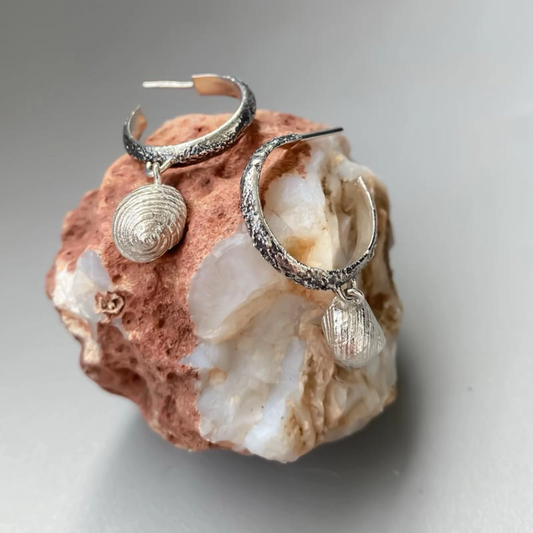 Aros Phorcus rugosos