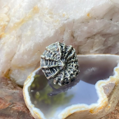 Anillo Máncora