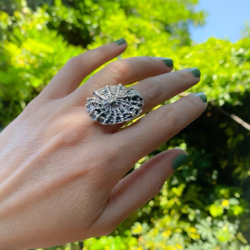 Anillo Máncora