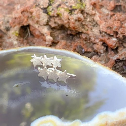 Trepadores Estrellas